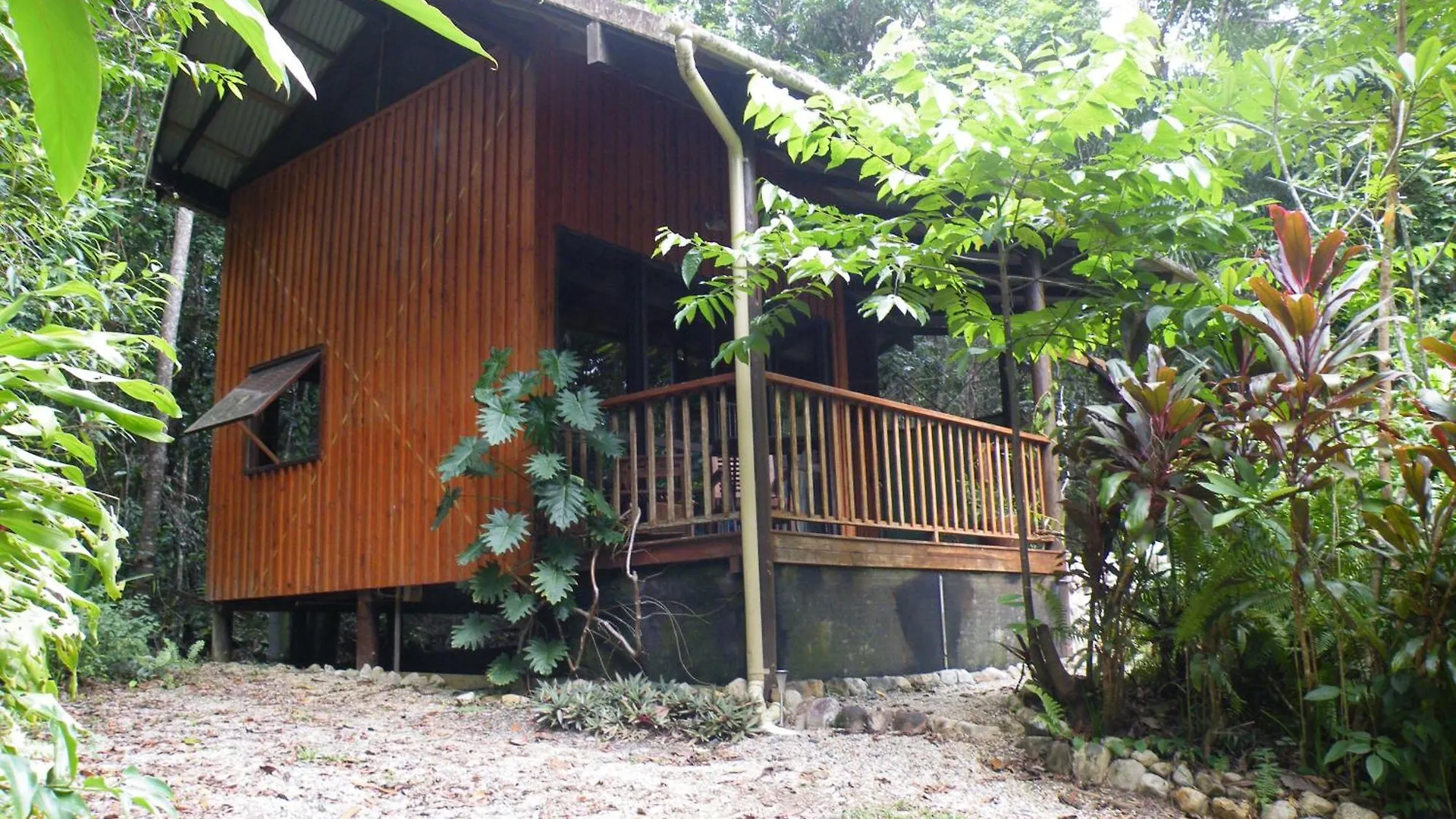 Epiphyte B & B Cow Bay