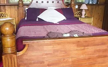 *** Bed & Breakfast Epiphyte B & B Cow Bay Australia