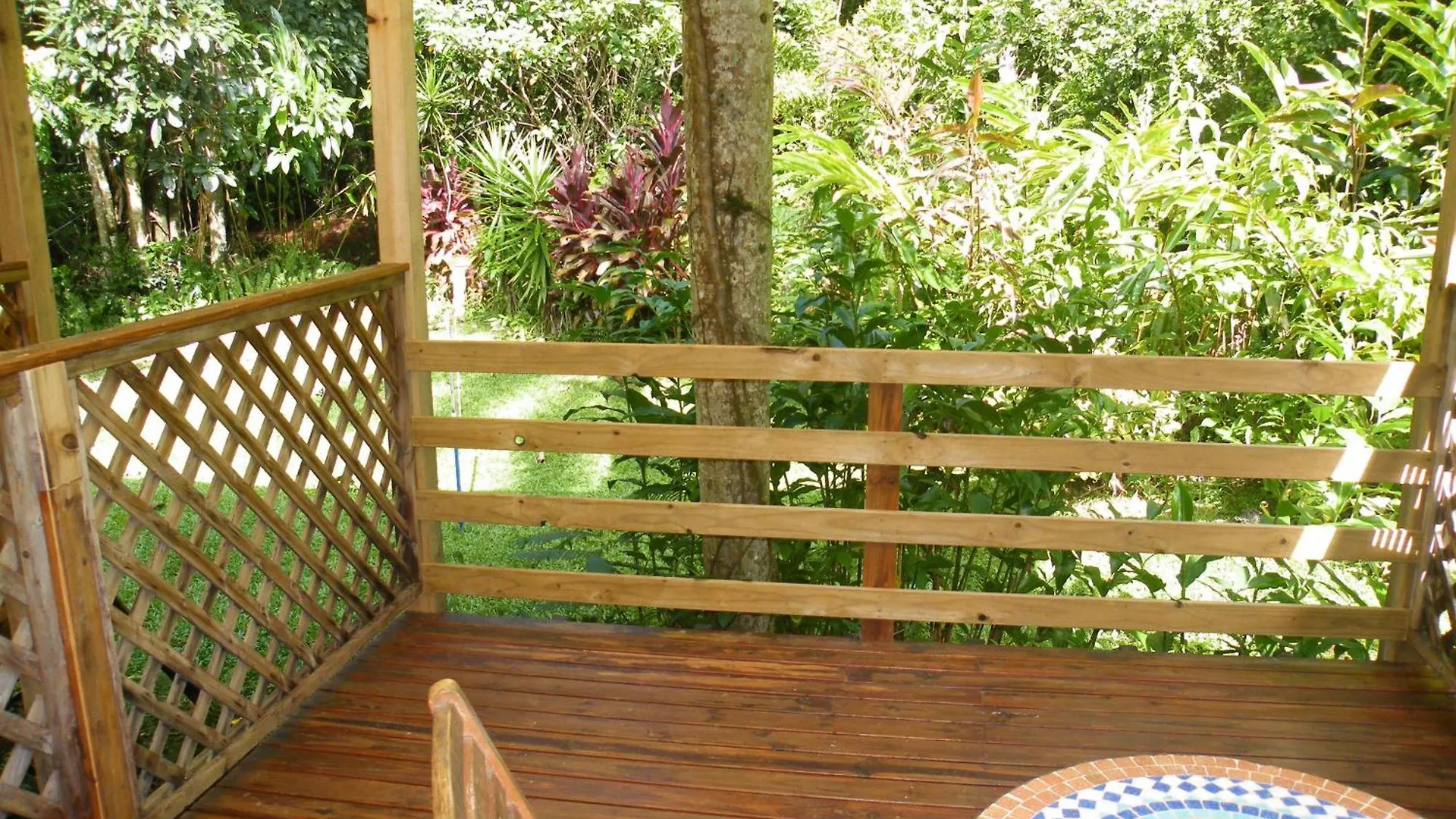 Bed & Breakfast Epiphyte B & B Cow Bay