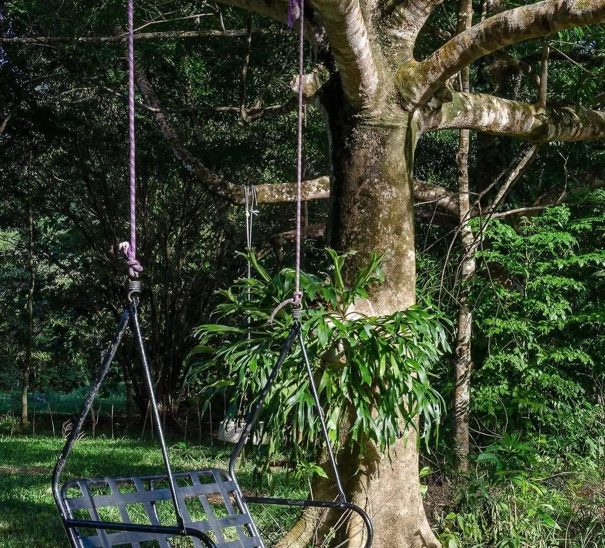 Epiphyte B & B Cow Bay Bed & Breakfast