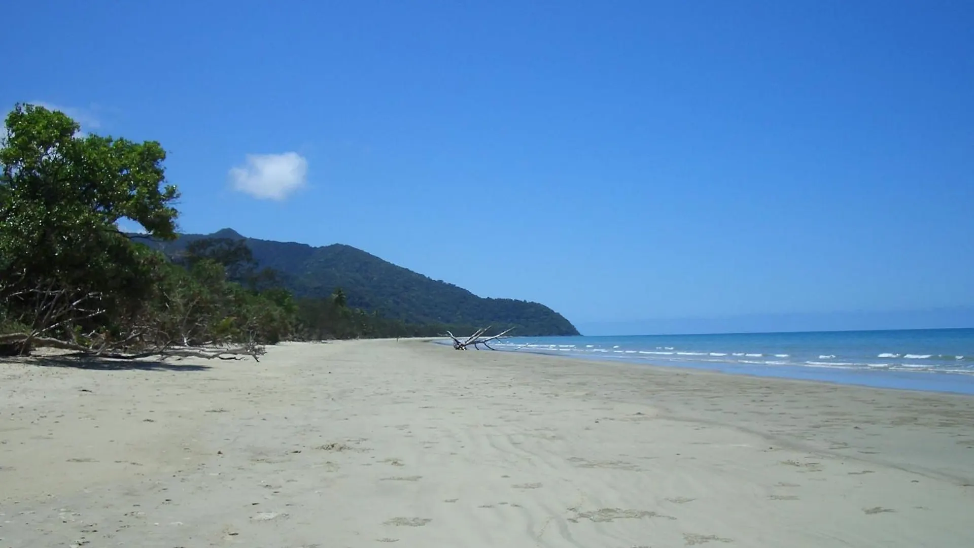 *** Bed & Breakfast Epiphyte B & B Cow Bay Australia
