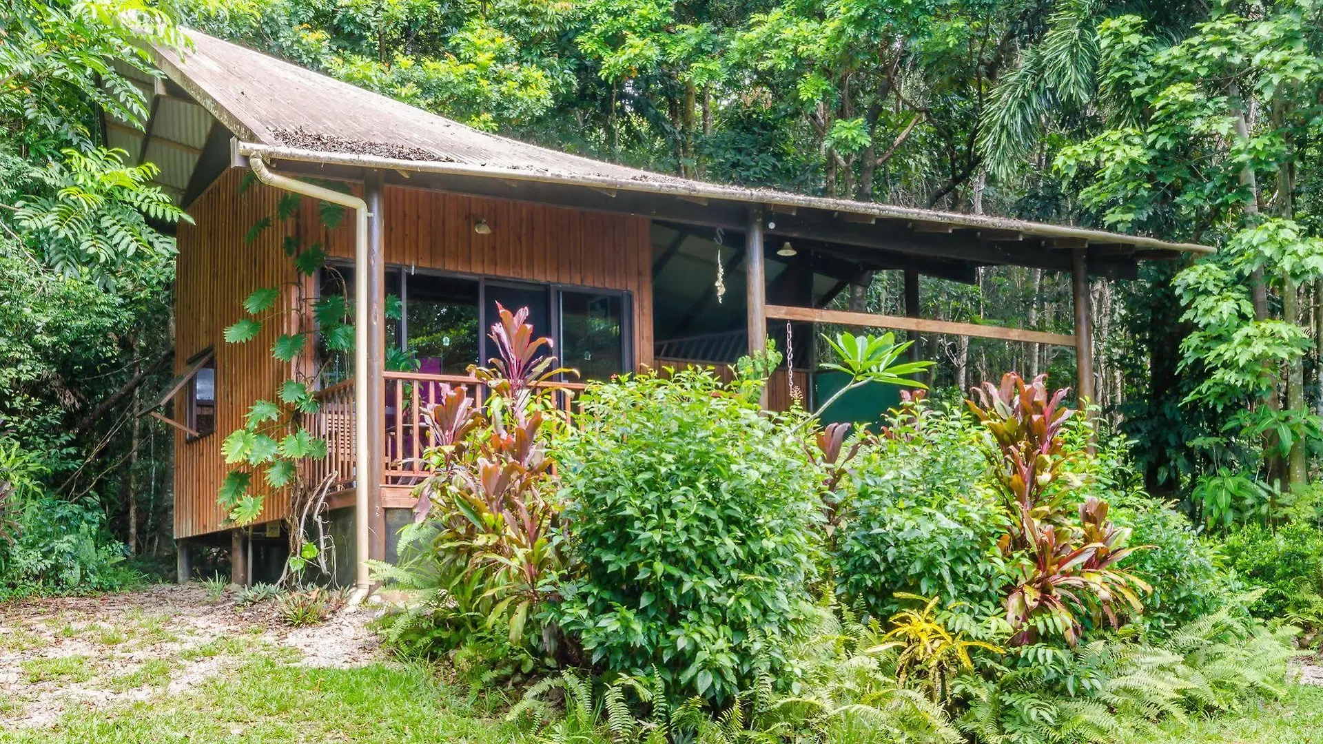 Epiphyte B & B Cow Bay Australia
